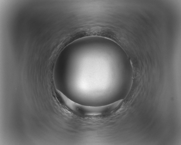 X0000067461153200604101125