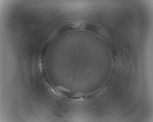 X0000067461154200604101125