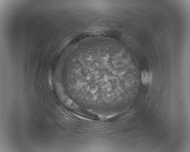 X0000067461155200604101125