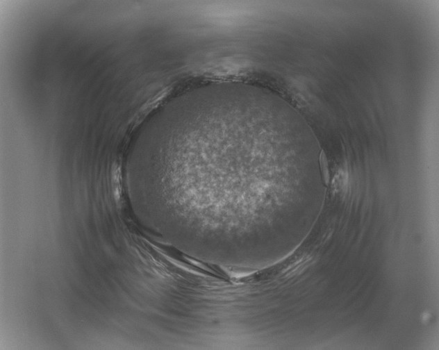 X0000067461156200604101125