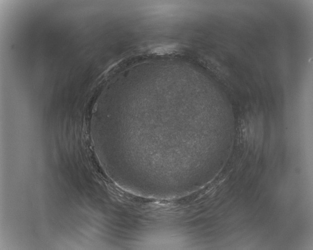 X0000067461158200604101125