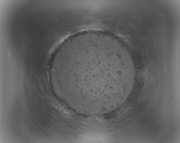 X0000067461159200604101125