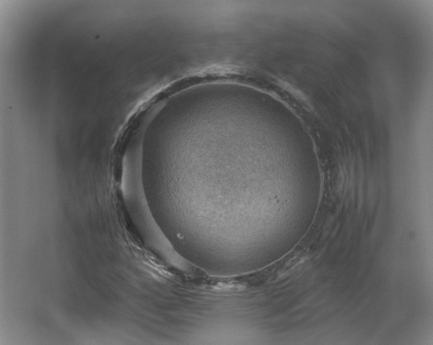 X0000067461160200604101125