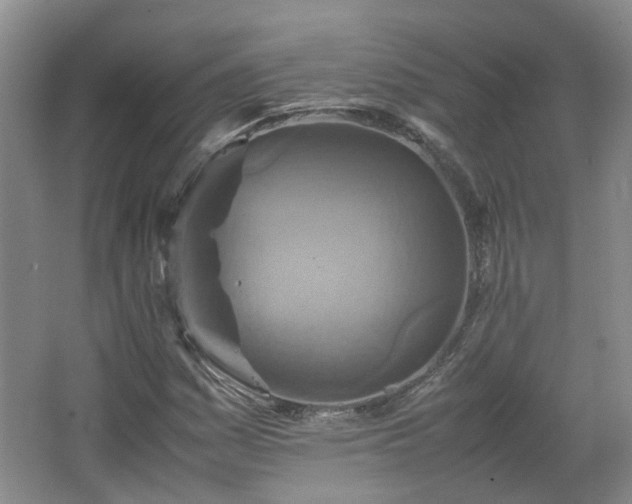 X0000067461161200604101125