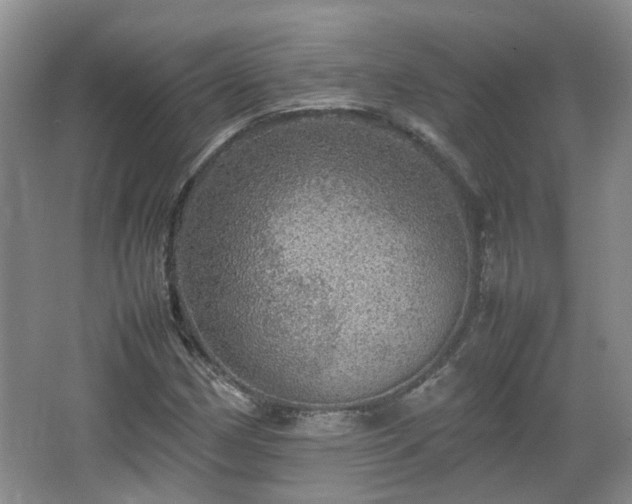 X0000067461162200604101125