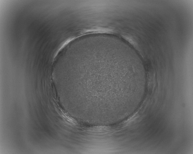 X0000067461163200604101125