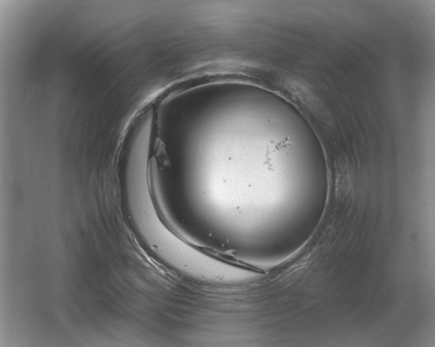 X0000067461164200604101125