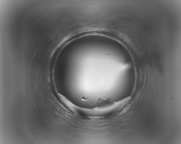 X0000067461165200604101125