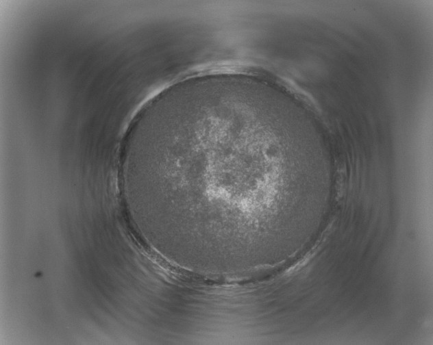 X0000067461166200604101125