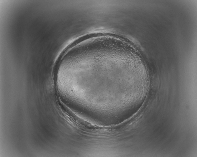 X0000067461167200604101125