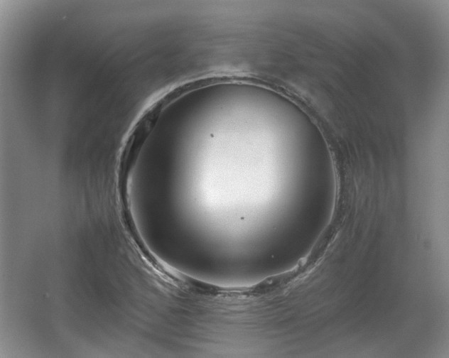 X0000067461168200604101125