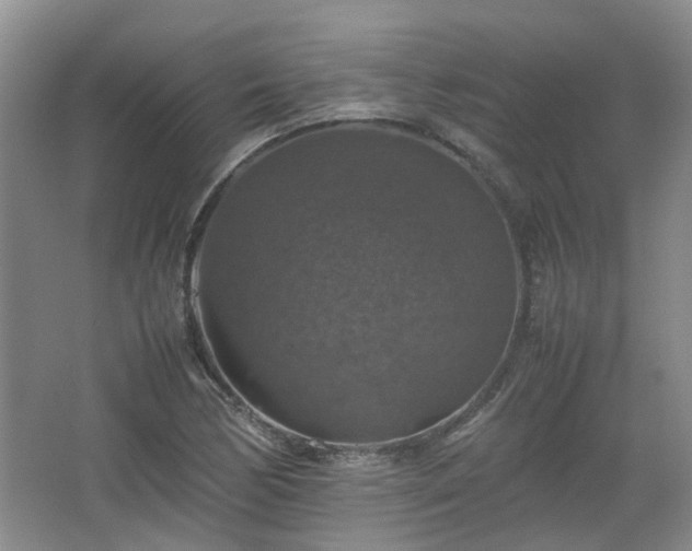 X0000067461170200604101125