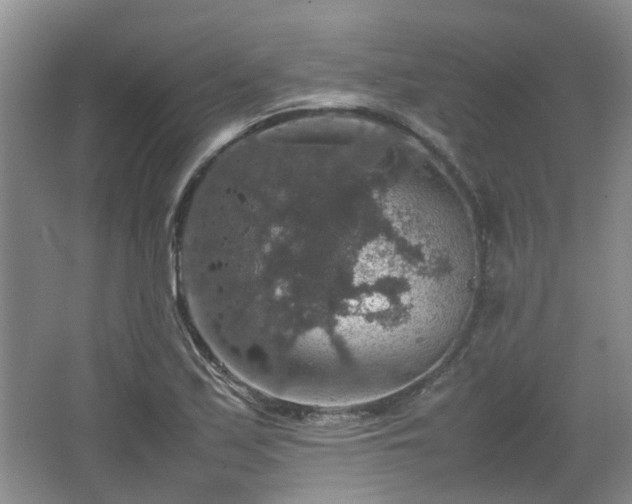 X0000067461171200604101125