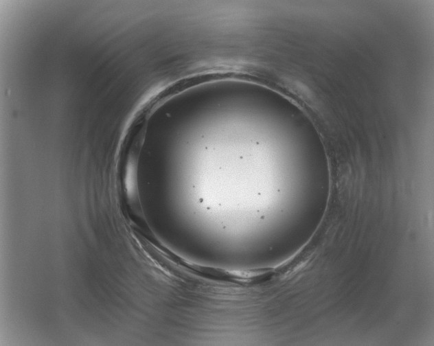 X0000067461172200604101125