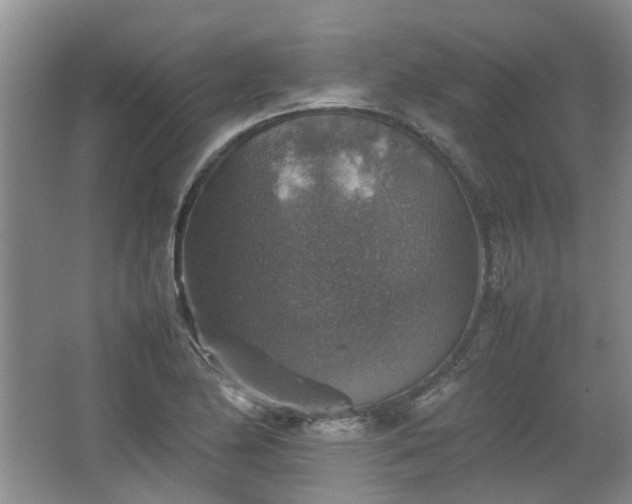 X0000067461174200604101125