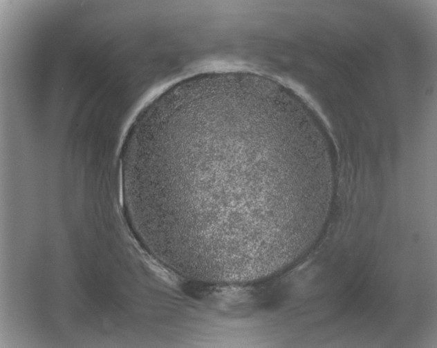 X0000067461175200604101125