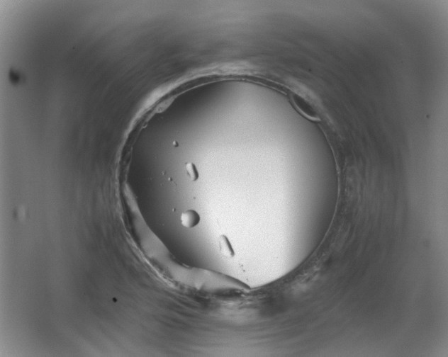 X0000067461176200604101125