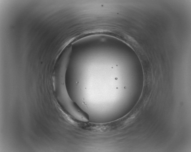 X0000067461177200604101125