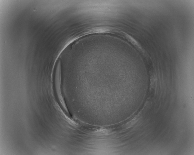 X0000067461178200604101125