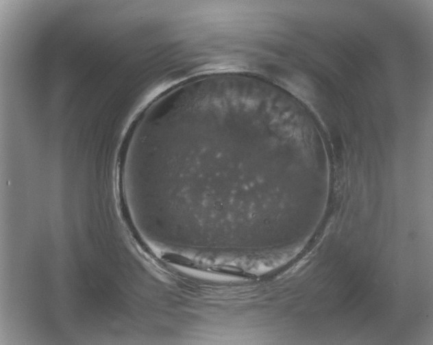 X0000067461179200604101125