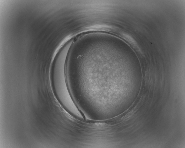 X0000067461180200604101125