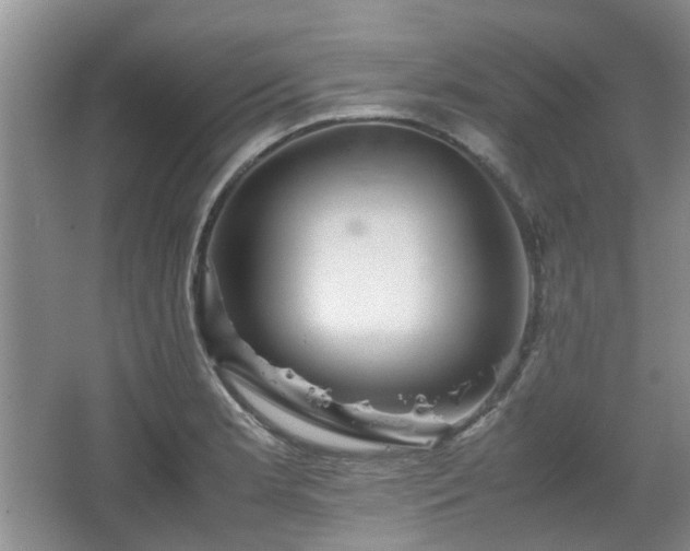 X0000067461181200604101125