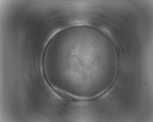 X0000067461182200604101125