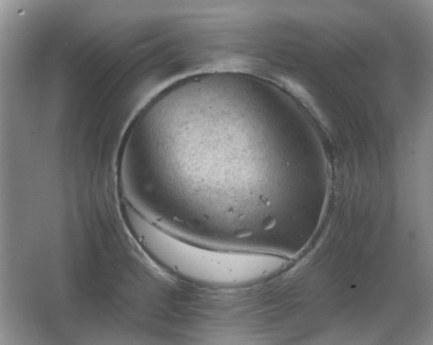 X0000067461184200604101125