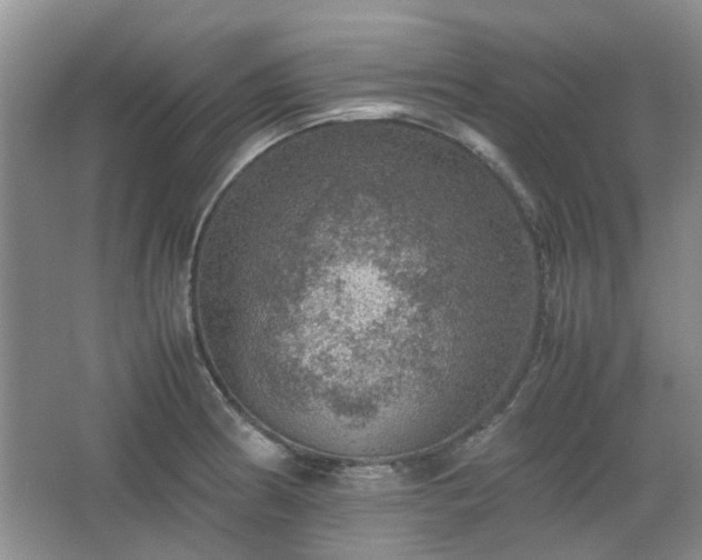 X0000067461186200604101125