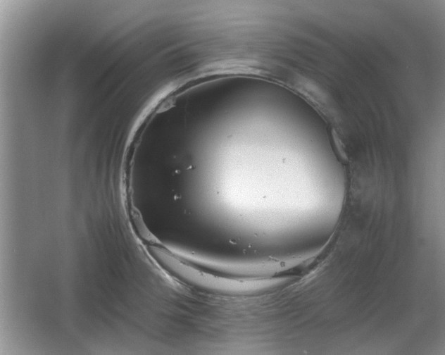 X0000067461188200604101125