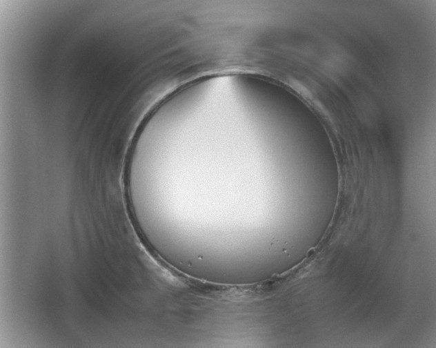 X0000067461189200604101125