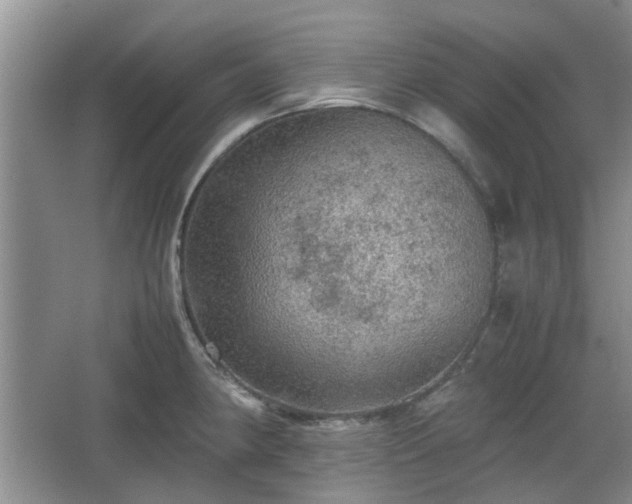 X0000067461190200604101125