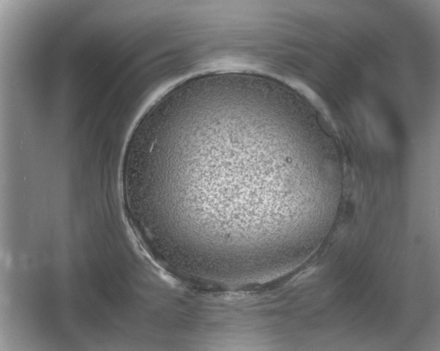 X0000067461191200604101125