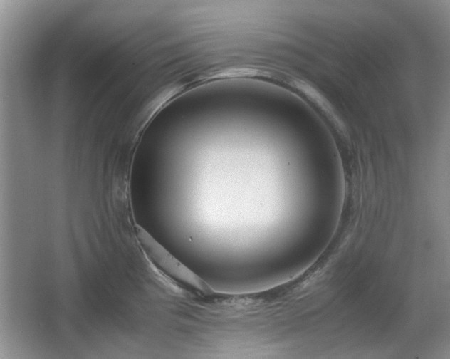 X0000067461193200604101125