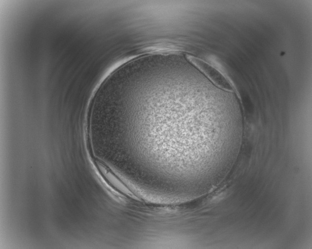 X0000067461195200604101125