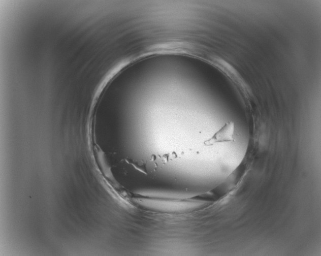 X0000067461196200604101125