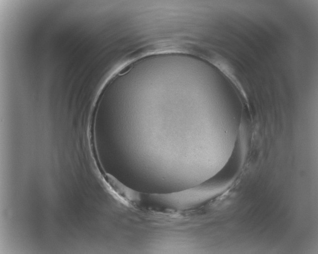 X0000067461197200604101125