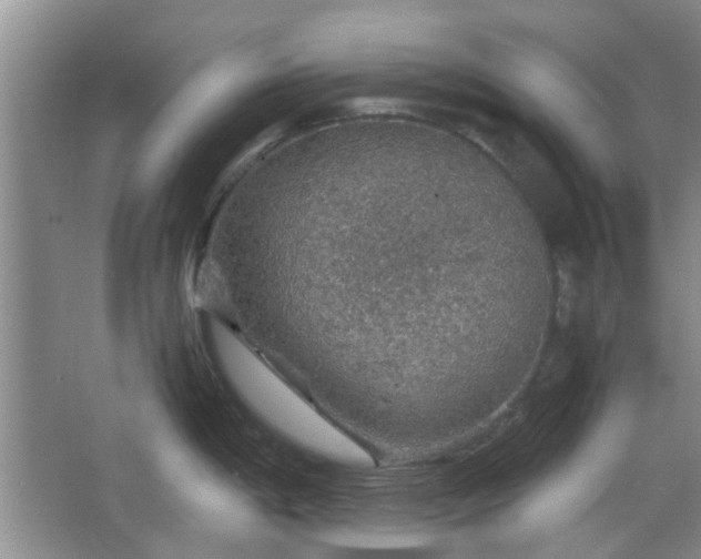 X0000067461198200604101125