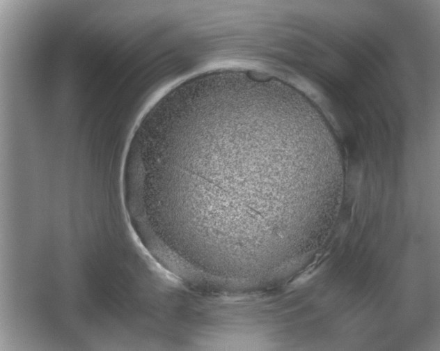 X0000067461199200604101125