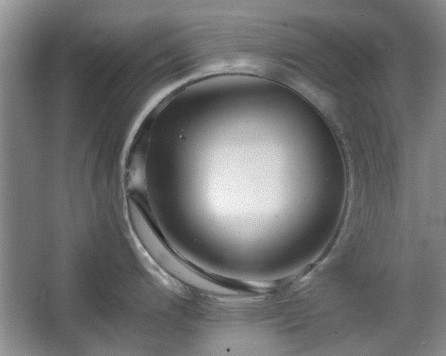 X0000067461200200604101125