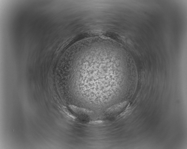 X0000067461201200604101124