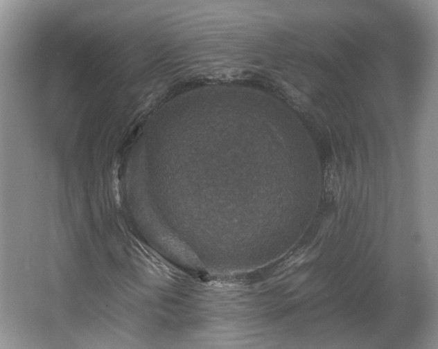 X0000067461202200604101124