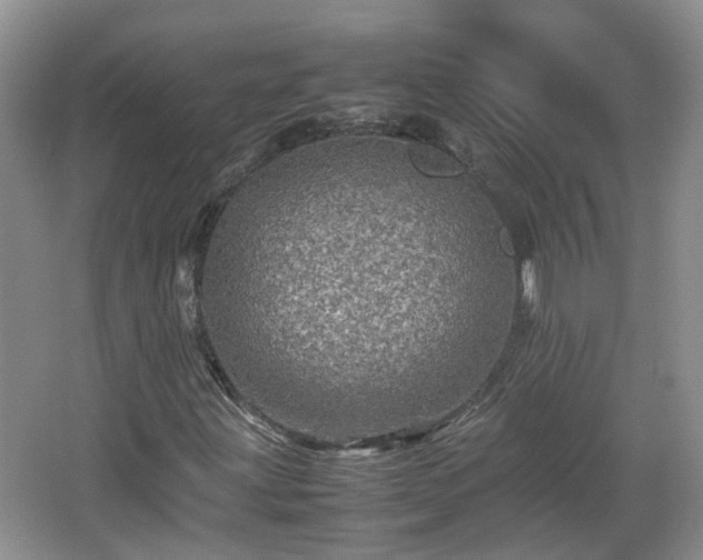 X0000067461203200604101124