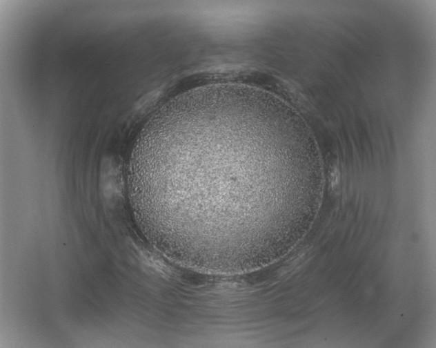 X0000067461204200604101124