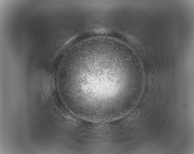 X0000067461205200604101124