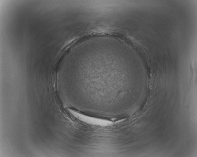 X0000067461206200604101124