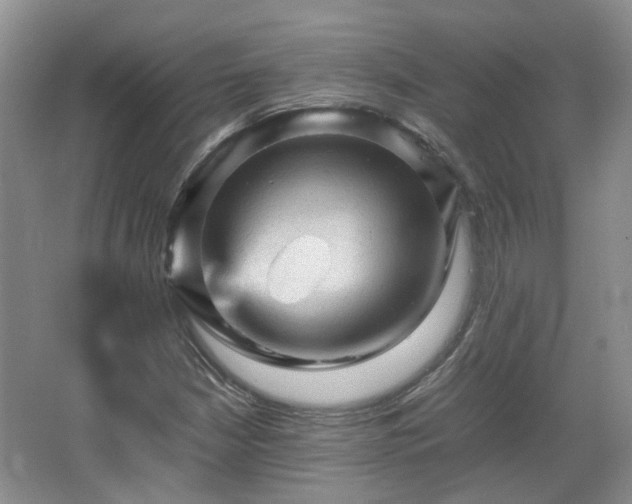 X0000067461210200604101124