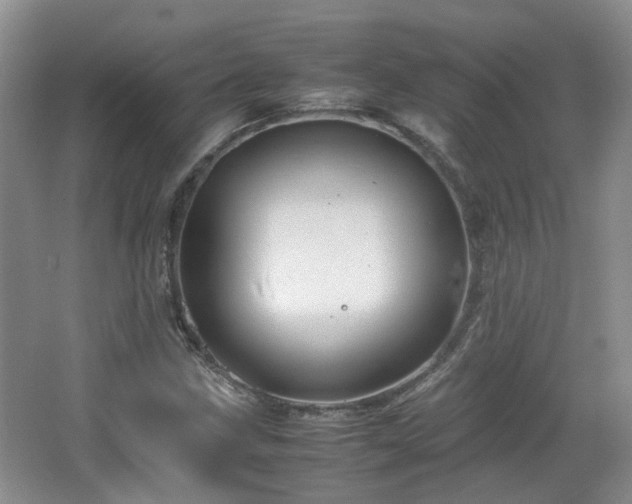 X0000067461211200604101124