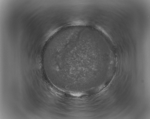 X0000067461213200604101124