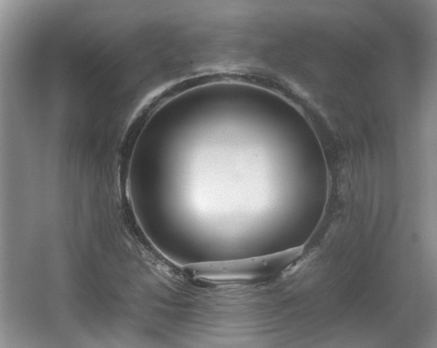 X0000067461214200604101124